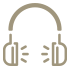 Noise Cancelling Headphones